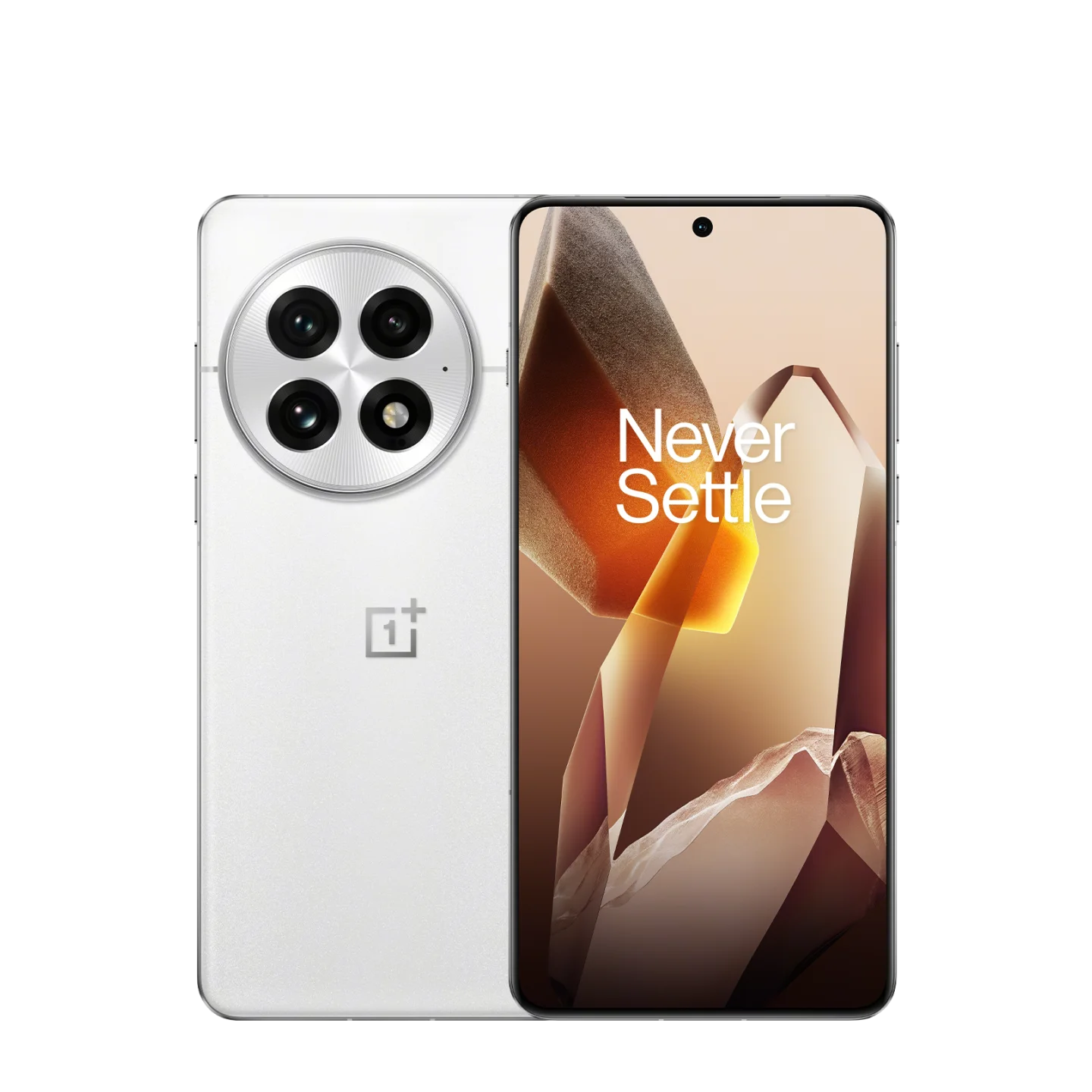 OnePlus 13 256 ГБ