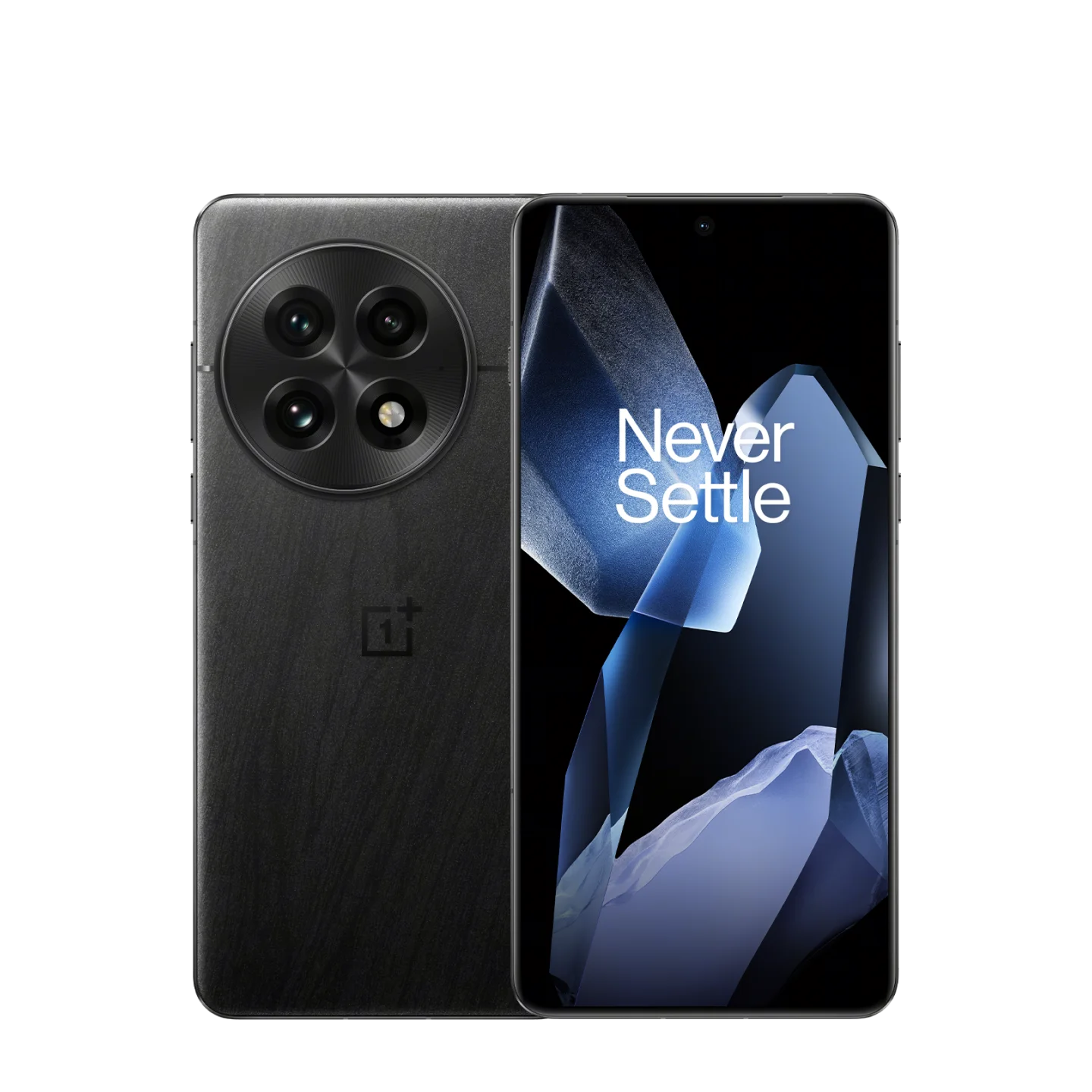 One plus OnePlus 13 12 256 ГБ, Black Eclipse